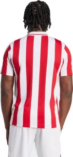 Φανέλα Επετειακή 100 Χρόνια Ολυμπιακός Adidas - Image 7