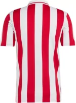 Φανέλα Επετειακή 100 Χρόνια Ολυμπιακός Adidas - Image 9